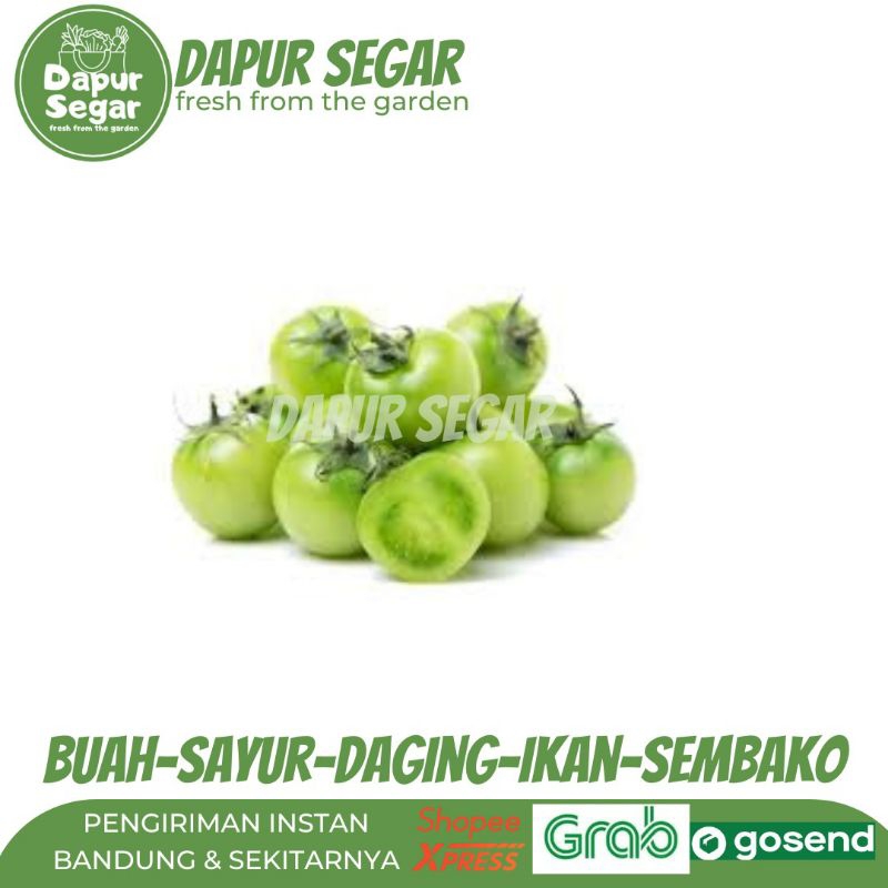 

TOMAT HIJAU SEGAR
