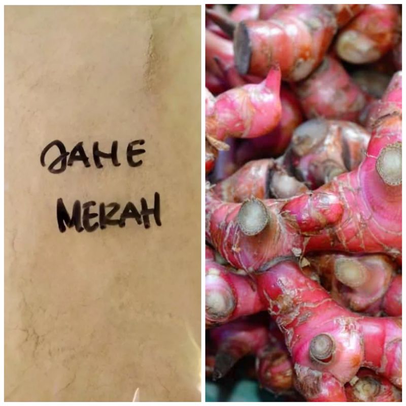 

bubuk jahe merah 100% tanpa campuran 1kg