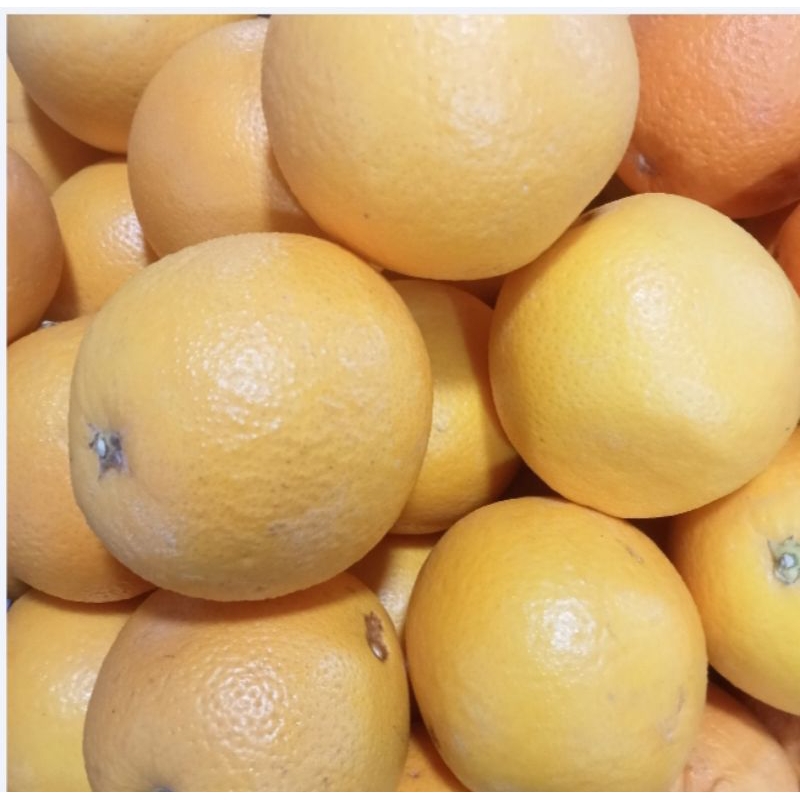 

jeruk Sunkist 1/2 kg