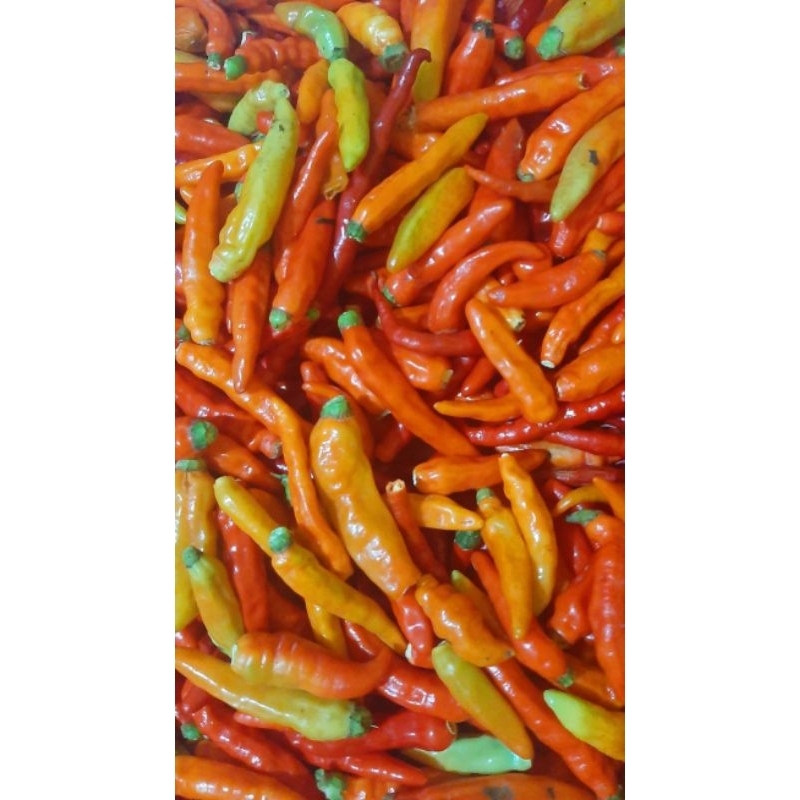 

Cabai Rawit Merah 500gr