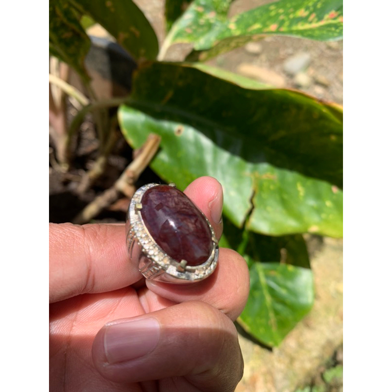 Lumut Merah Suliki Kristal