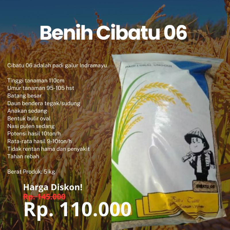 Benih Padi Cibatu 06