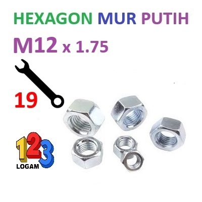 Mur M12 Putih Galvanis Hexagon Besi Kunci Baut 19 Drat 1.75