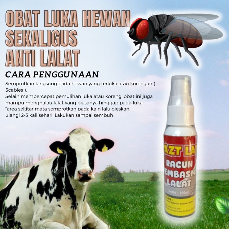 Obat Kutu dan lalat Hewan Sapi Ampuh