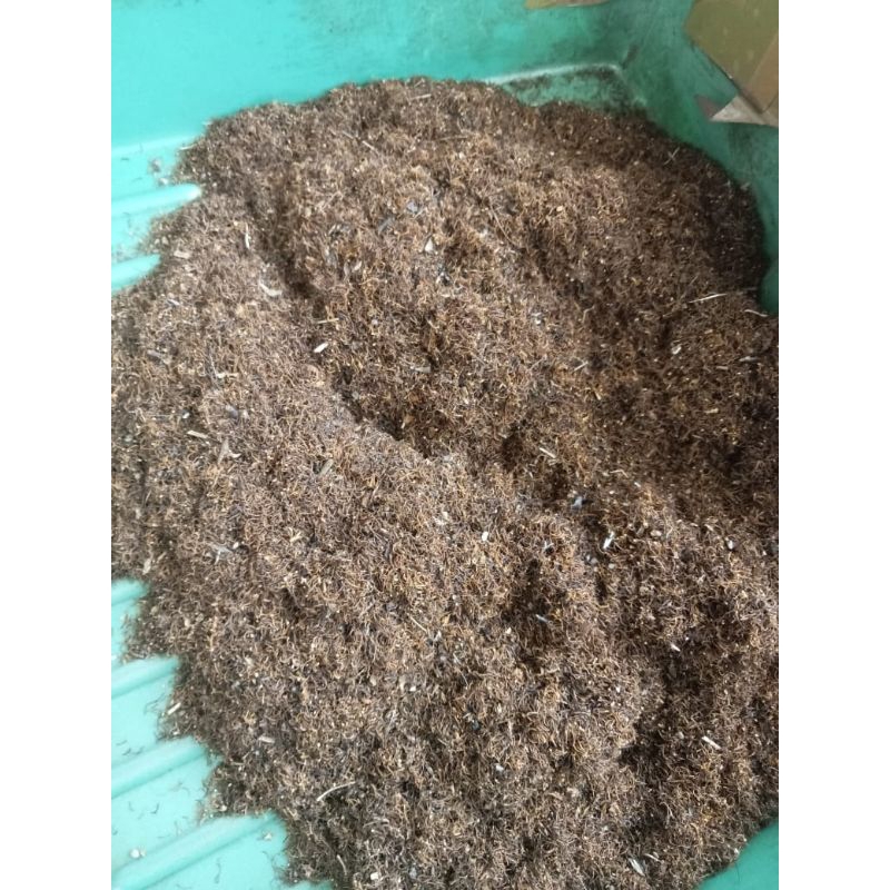 

sungut putik sari benang sari murni 1kg kering