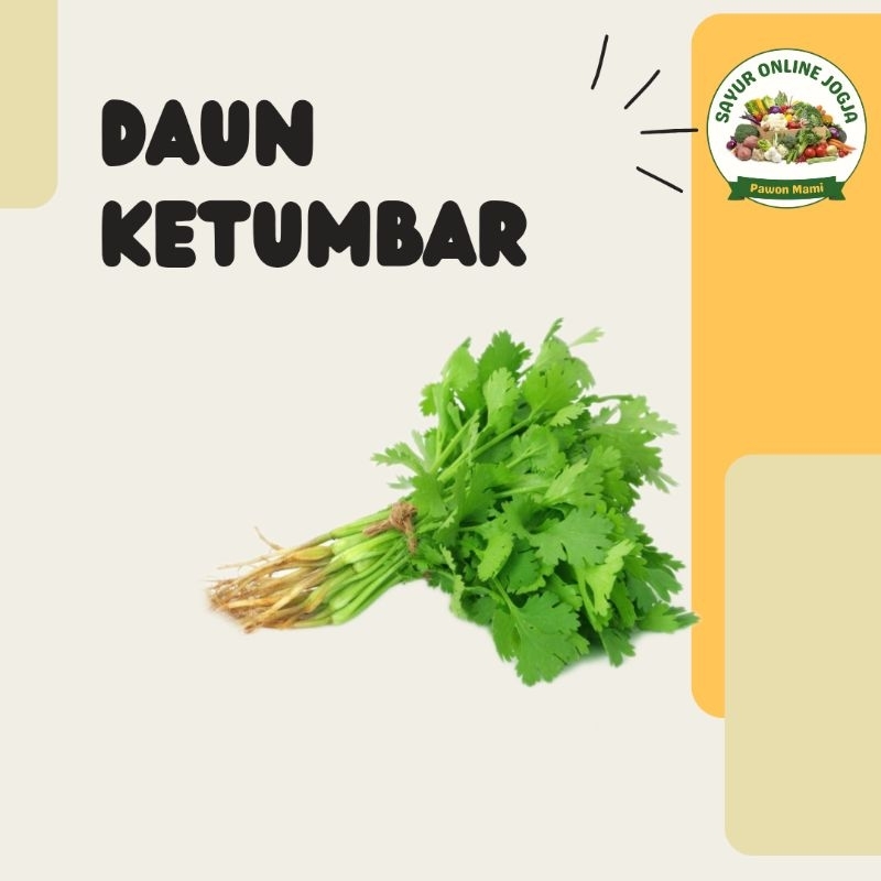 

Daun ketumbar coriander cilantro wangsui - PAWON MAMI SAYUR ONLINE JOGJA
