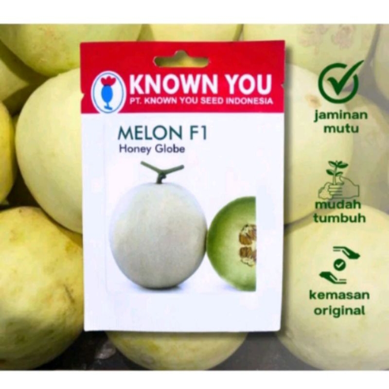 50 Biji Benih Melon Honey Globe F1 Original