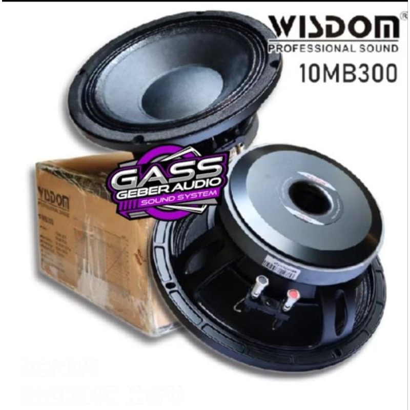 Speaker 10 inch WISDOM 10MB300