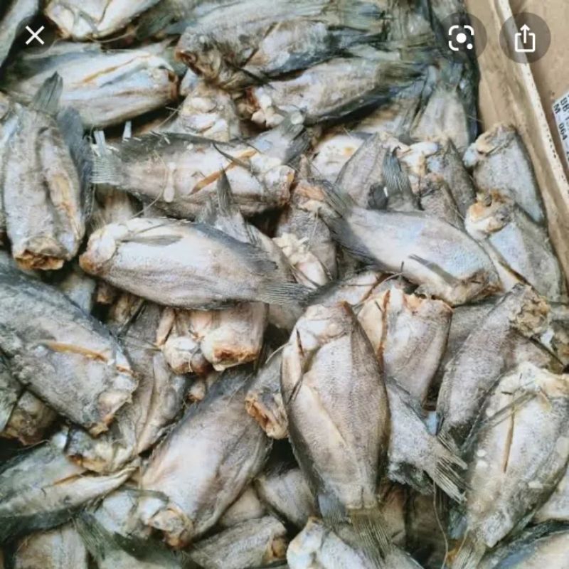 

ikan asin sepat besar 250 gr