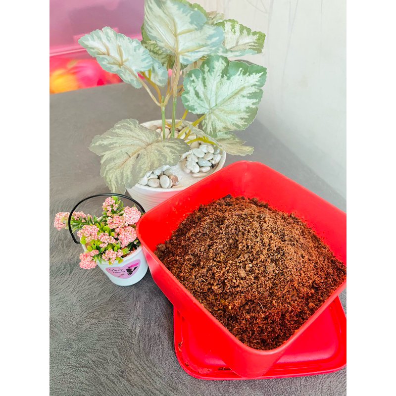 

abon ikan tongkol