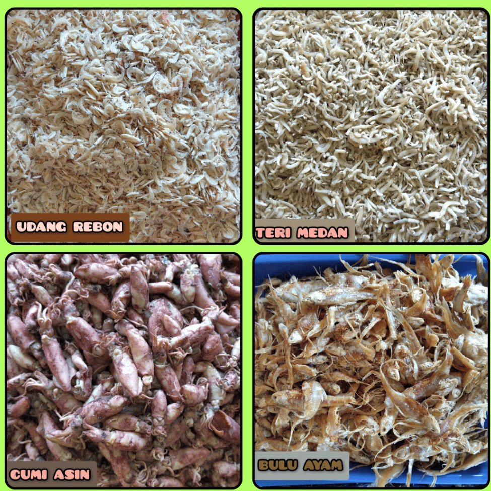 

ANEKA VARIAN IKAN ASIN 100 Gram