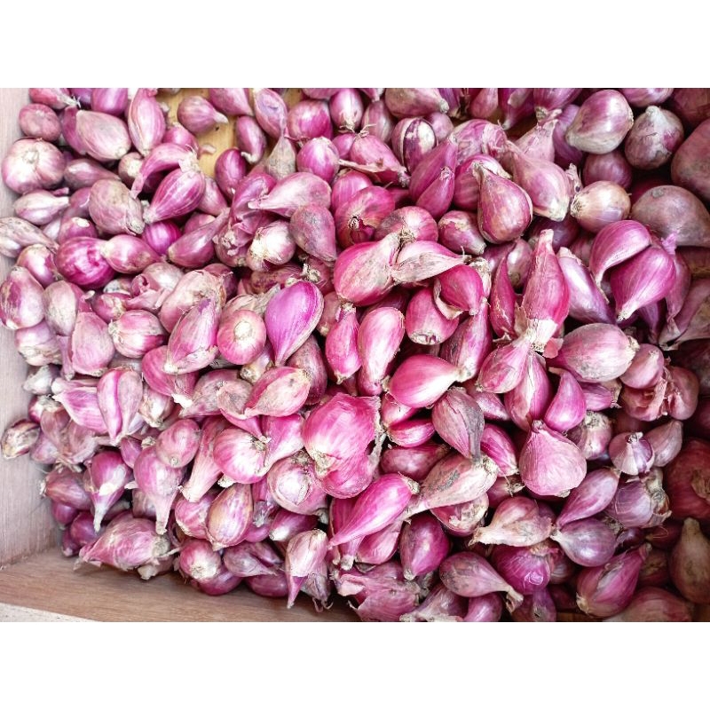 

bawang merah super