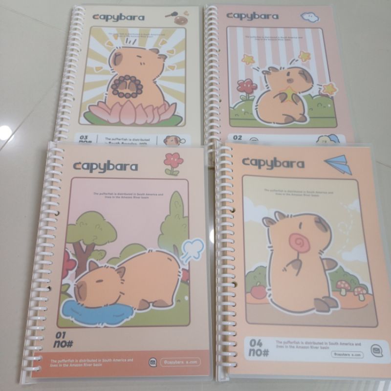 

Buku binder note loose leaf B5 CAPYBARA