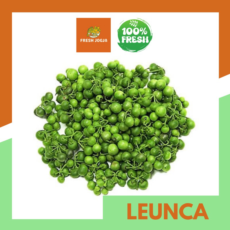 

Leunca per 250gr | Fresh Jogja