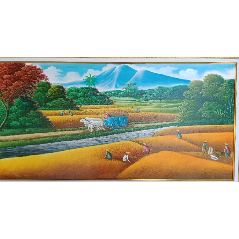 pemandangan alam sawah