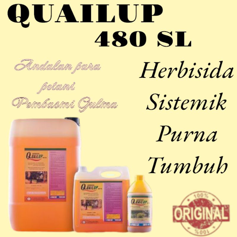Obat Rumput / Quail up 5 Liter/ obat kuning / obat akar / pembasmi gulma / Herbisida sistemik /Racun