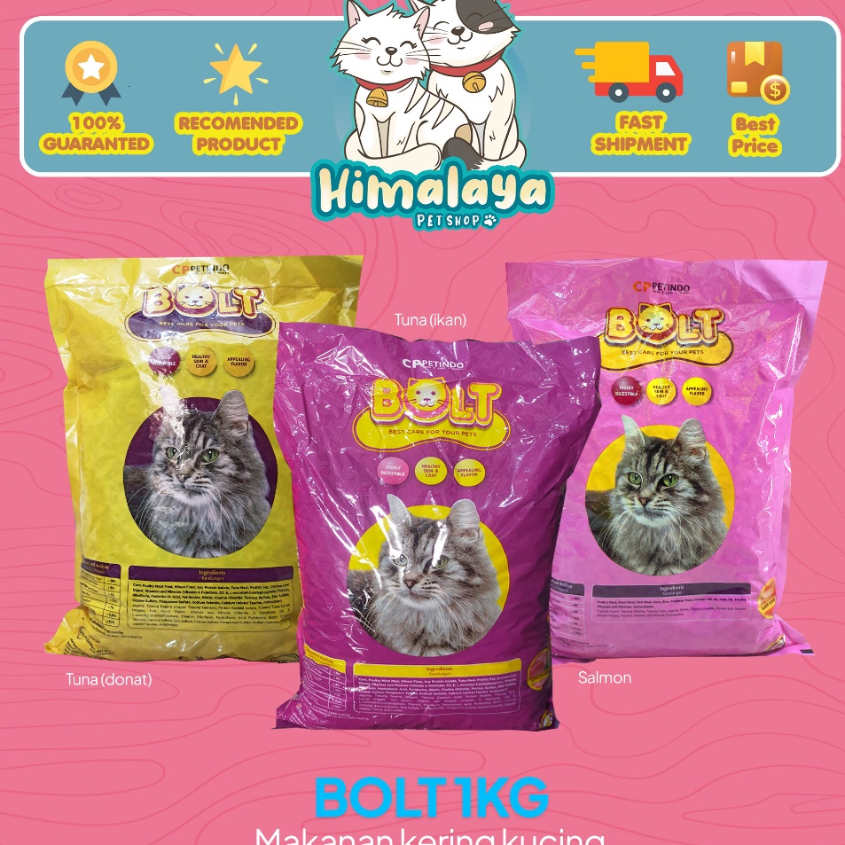 Makanan Kucing kering murah BOLT  Makanan kucing termurah