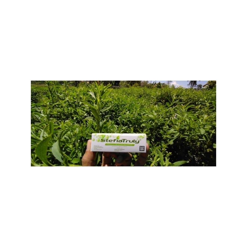 

Stevia Tetes Pelopor di Indonesia merk StefiaTruly ASLI yang Resmi berizin LENGKAP