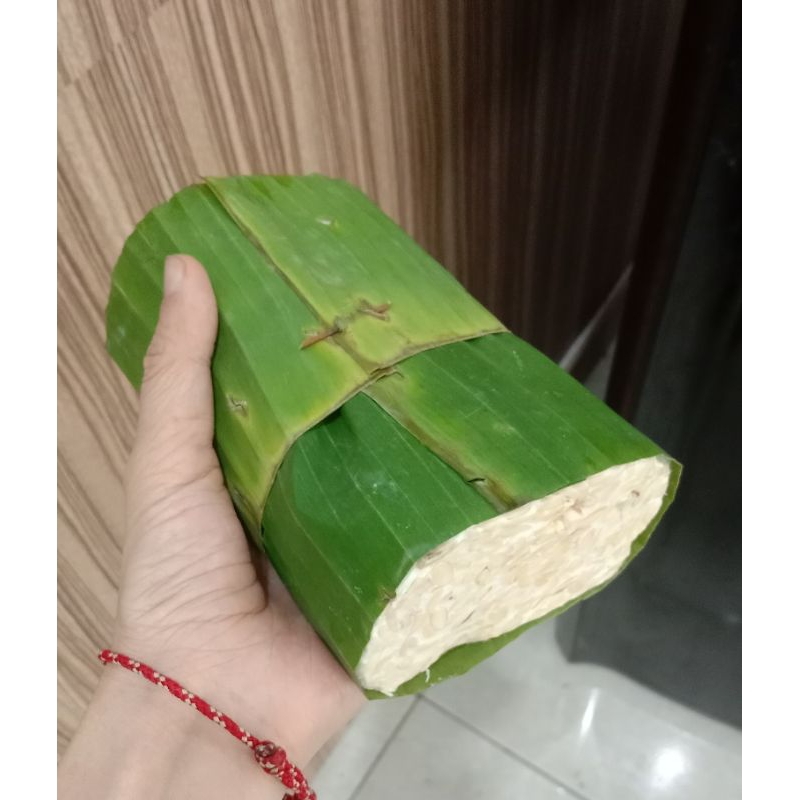 

Tempe Daun besar