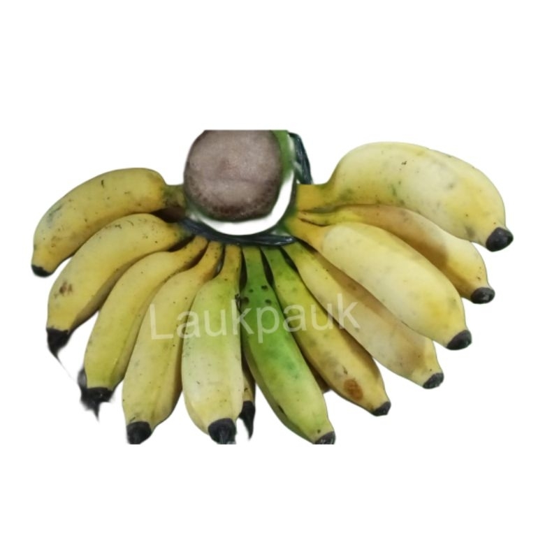 

Pisang Raja Sere/sisir