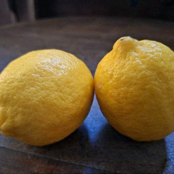 

Buah Lemon Impor Fresh Kota Semarang