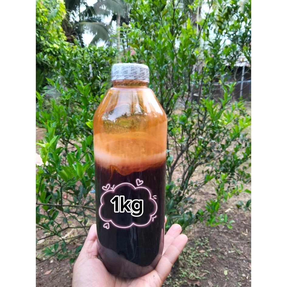 

MADU AKASIA SIAK 1 KG KELUARGA