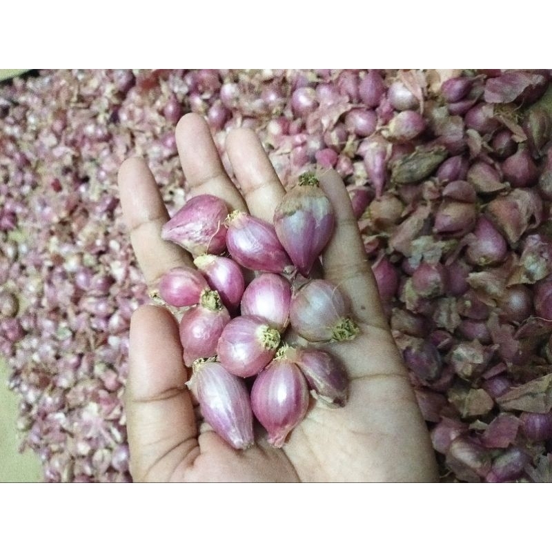 

Bawang merah KECHiiiLLLL 1 kg.masih
