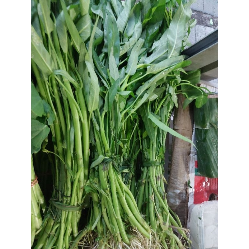 

Kangkung segar