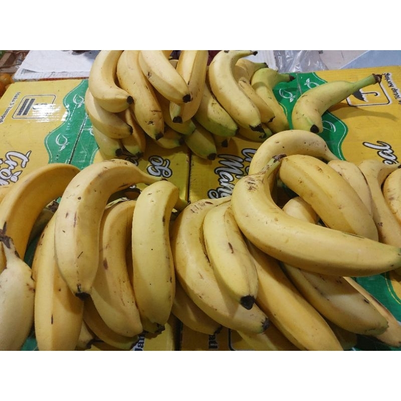 

Pisang cavendish 1kg