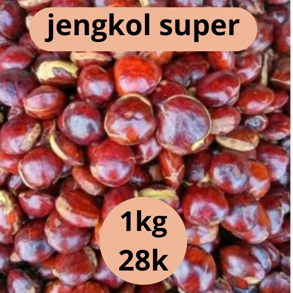 

jengkol super dijamin tua 1kg 28 ribu ( jengkol pilihan )