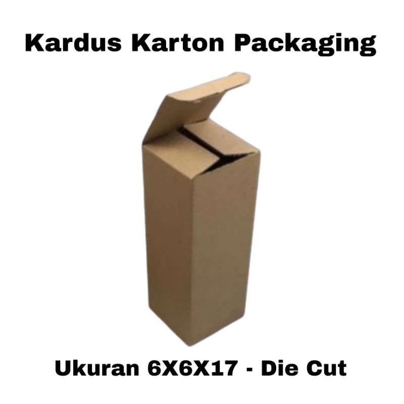 

Kardus Karton Packaging Die Cut Ukuran 6X6X17