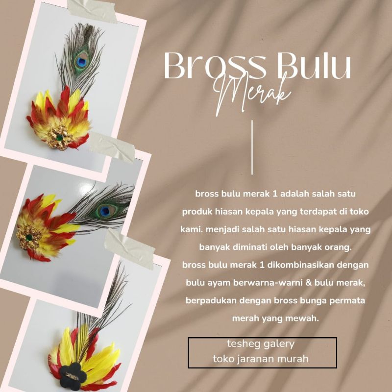 Bros Bulu Merak Satu