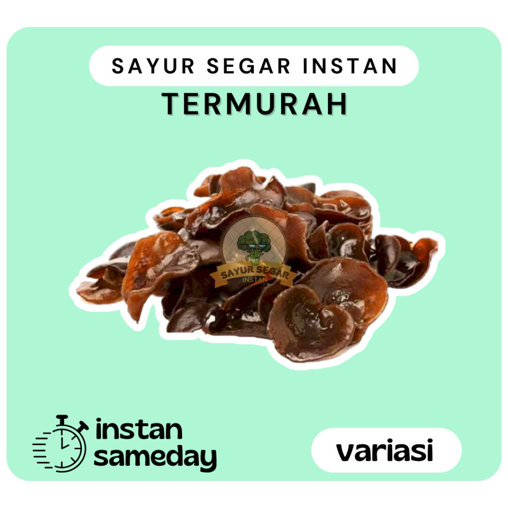 

Jamur Kuping Segar - Sayursegarinstan