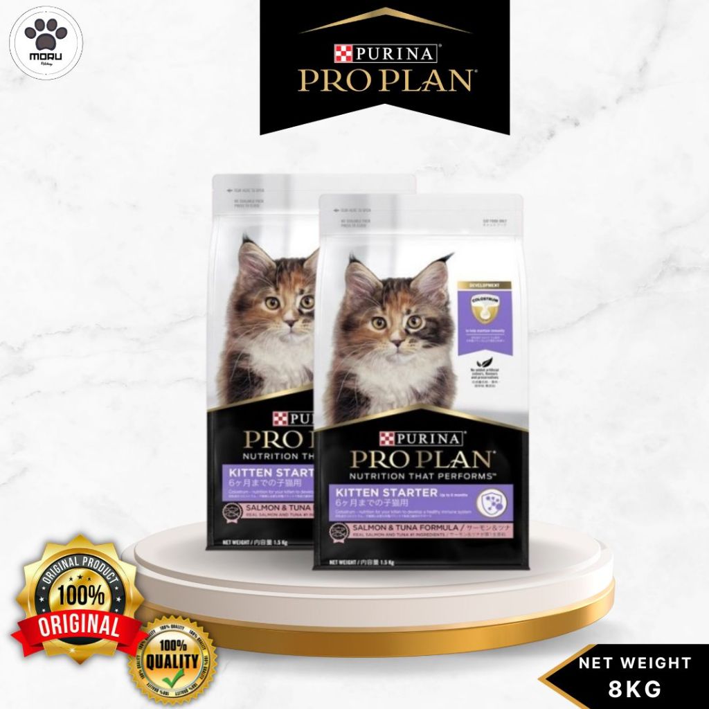 Proplan Kitten Salmon Starter 8kg