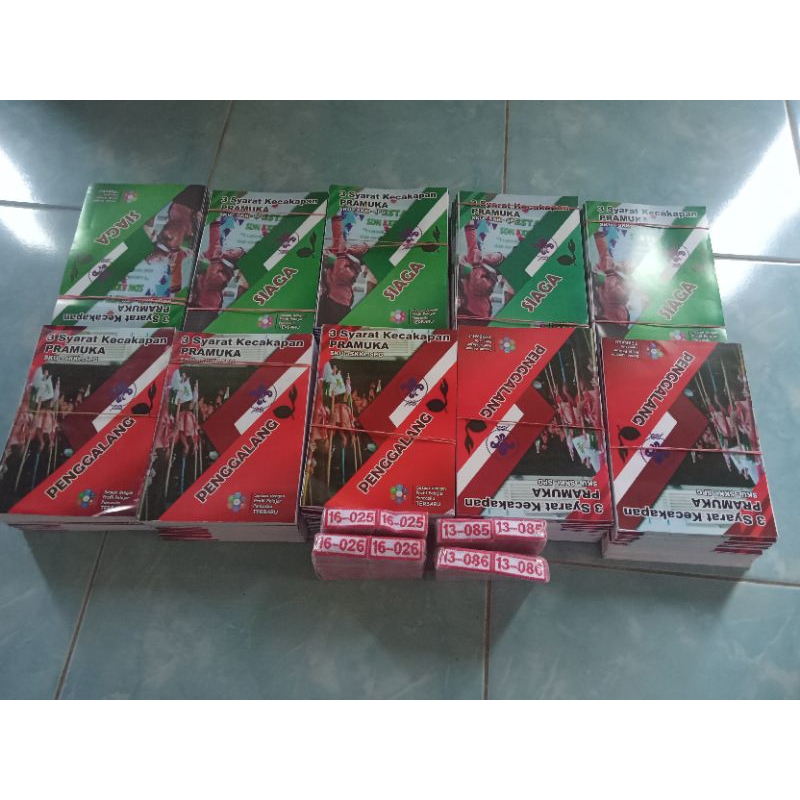 3 KECAKAPAN PRAMUKA SKU-SKK-SPG SIAGA