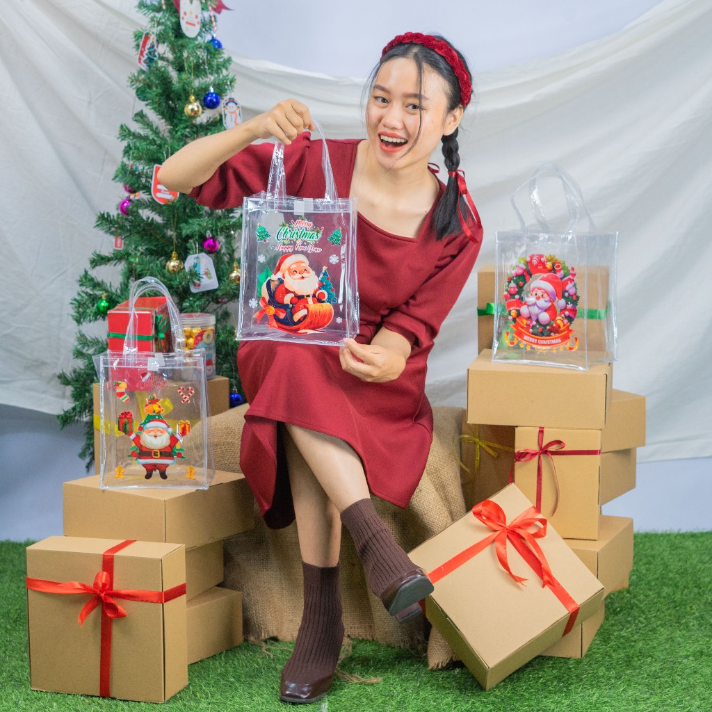 

GIFT BAGS NATAL TENTENG MIKA TRANSPARAN KOTAK KADO HAMPERS MERRY CHRISTMAS T25 P20