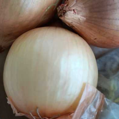 

Bawang Bombay