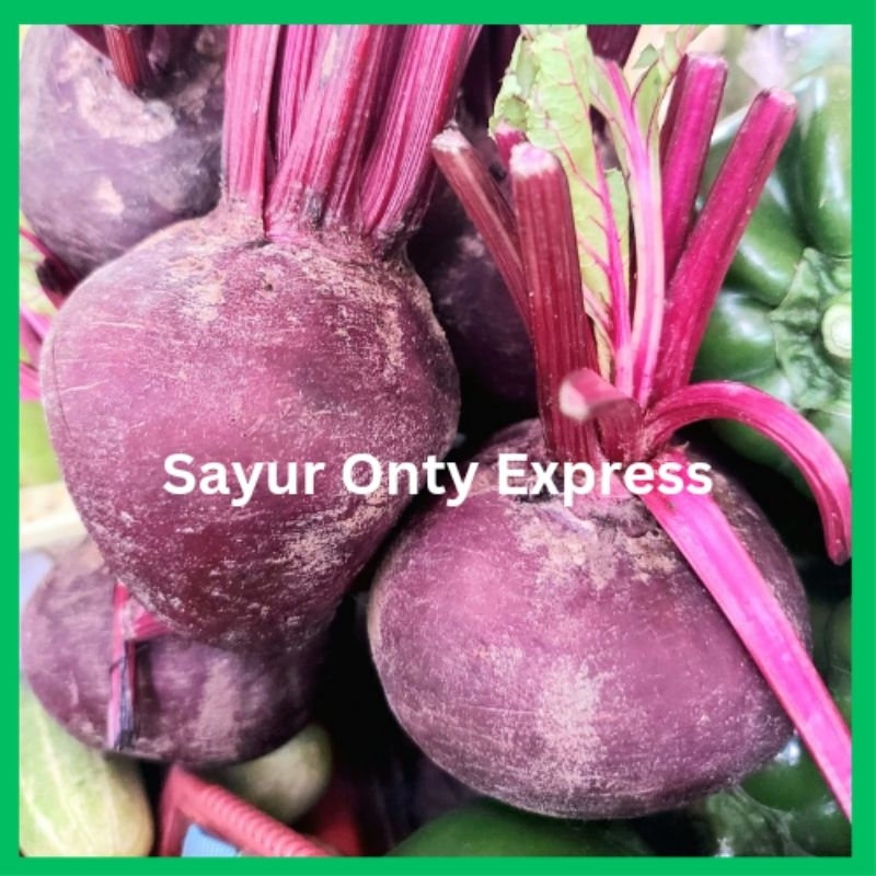 

Buah Bit Segar Premium 250 gram