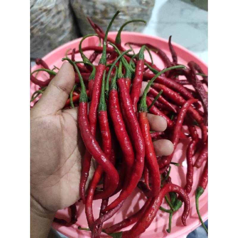 

Cabe merah keriting segar 1kg / cabai merah keriting fresh / cabai segar
