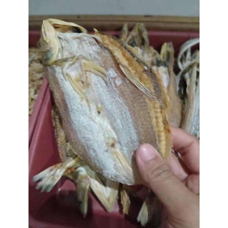 

Ikan kering (gereh) Bluso sigar tawar /tidak asin