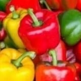 

cabe paprika mix fresh