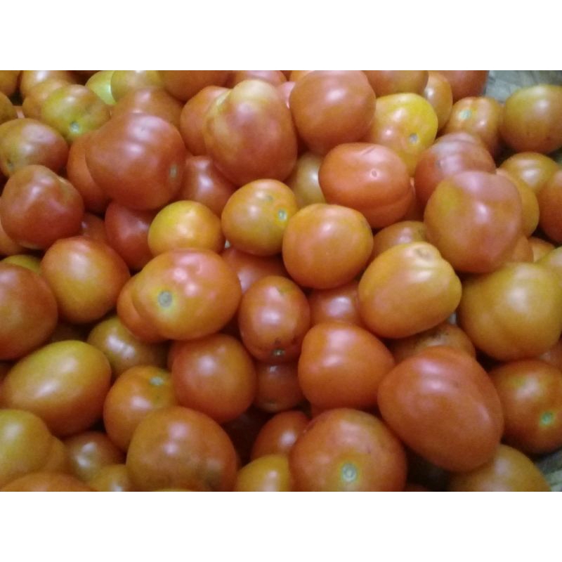

tomat 1kg