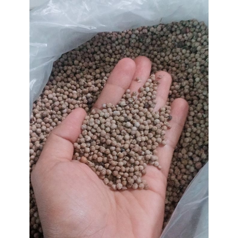 

LADA PUTIH 1KG ORIGINAL100% HASIL KEBUN KUALITAS BAGUS