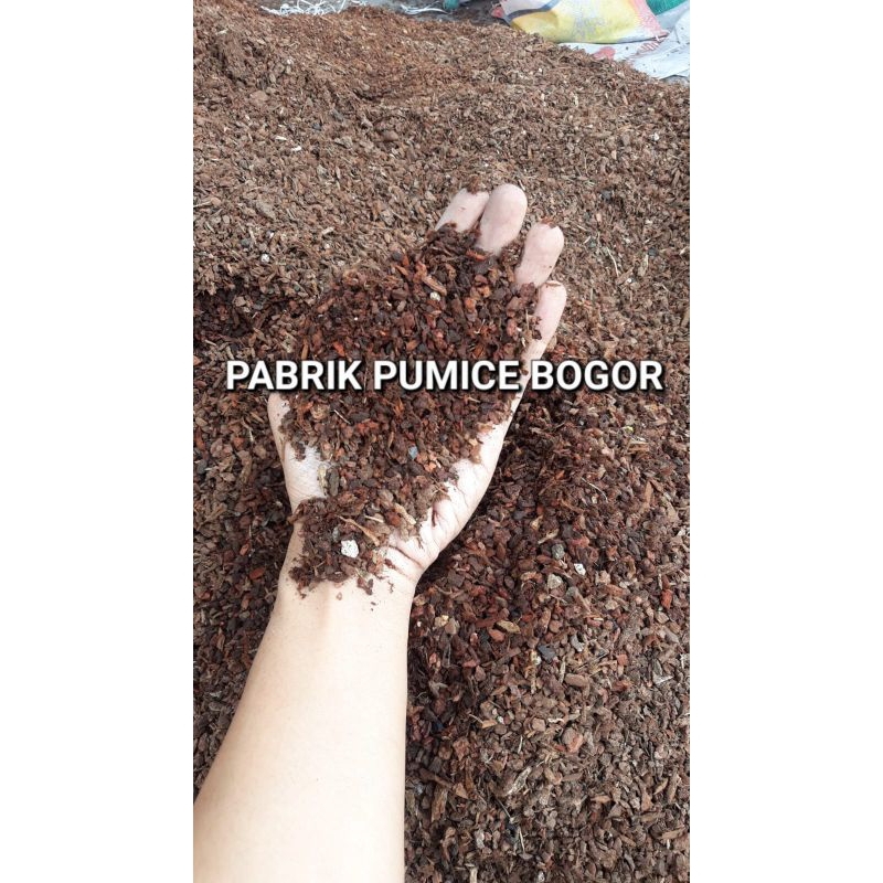 PINE BARK KARUNGAN MEDIA TANAM