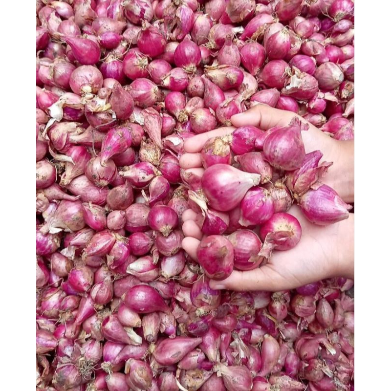 

1kg Bawang merah Brebes