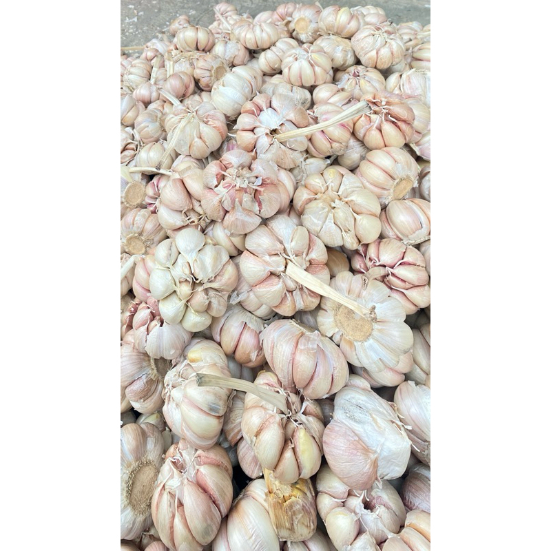 

bawang putih 1kg fres
