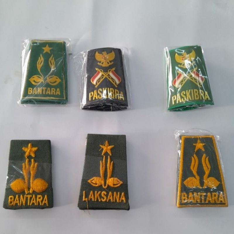 RIDHO CILEDUG - Evolet Pramuka & Paskibra