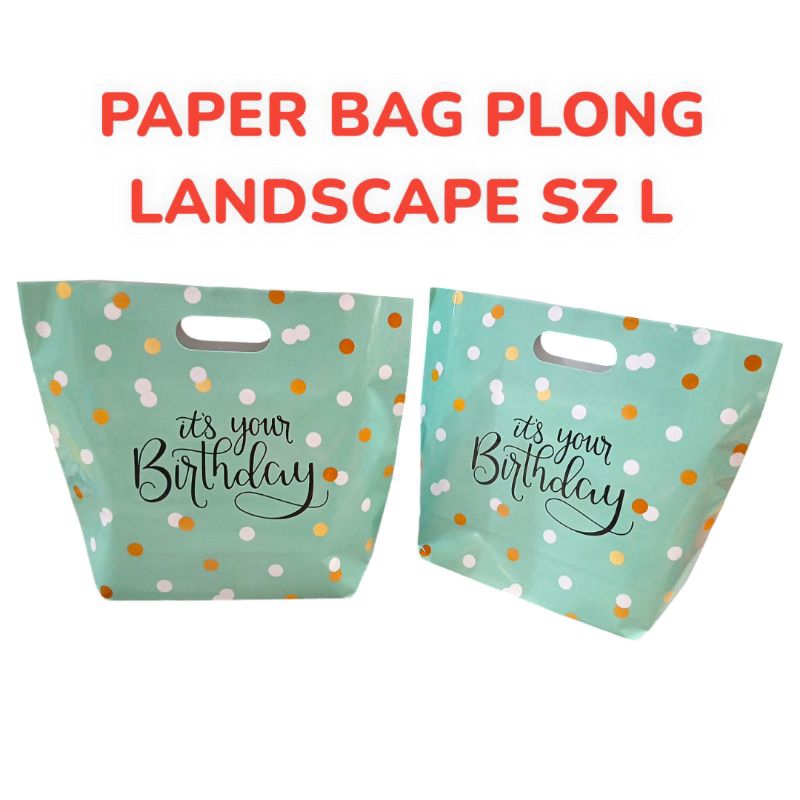 

PAPER BAG HBD PLONG LANDSCAPE SZ L