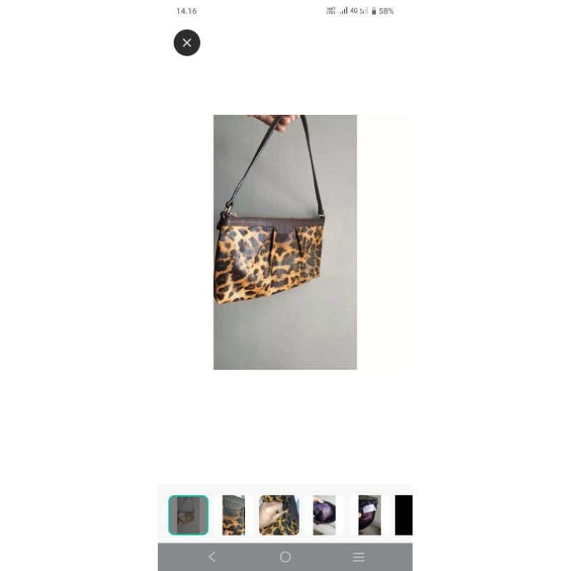 tas,brera, davjonpar, ,elequator,sisleyleopard