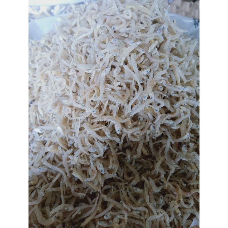 

bilis teri nasi halus putih